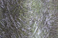 Cloghoge fibreglass roof work